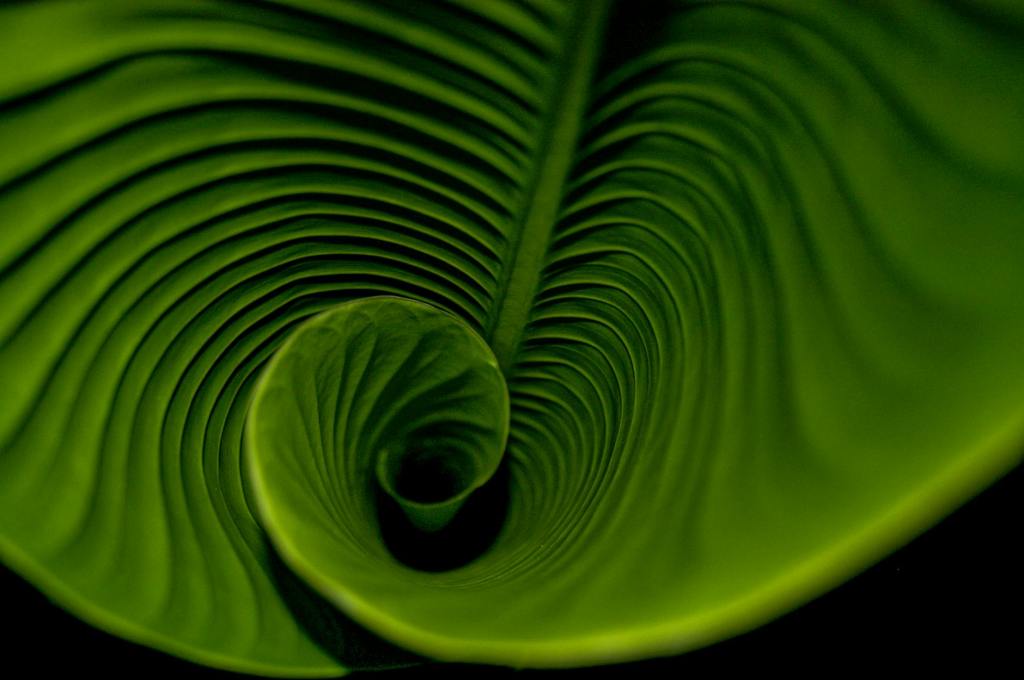 Binaural Beats vs Solfeggio Frequencies — What’s the&nbsp;Difference?